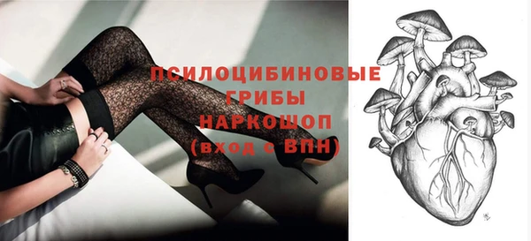 шишки Алексеевка