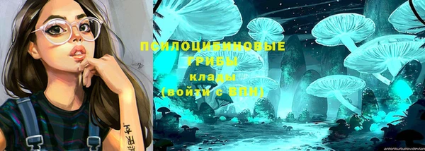шишки Алексеевка